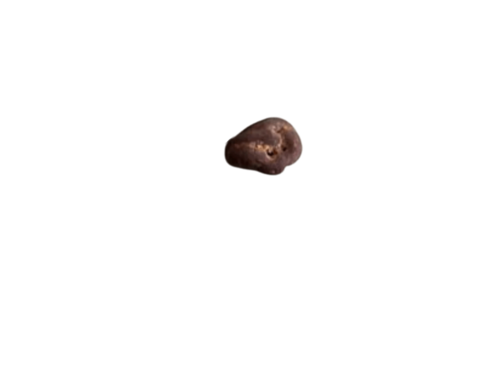 chocolate covered raisin
